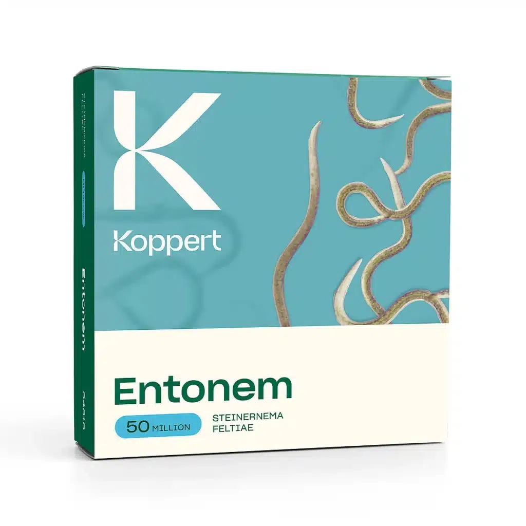 Koppert Entonem mod sørgemyg og trips/thrips. skadedyrsbekæmpelse uden pesticider og 100% biologisk.